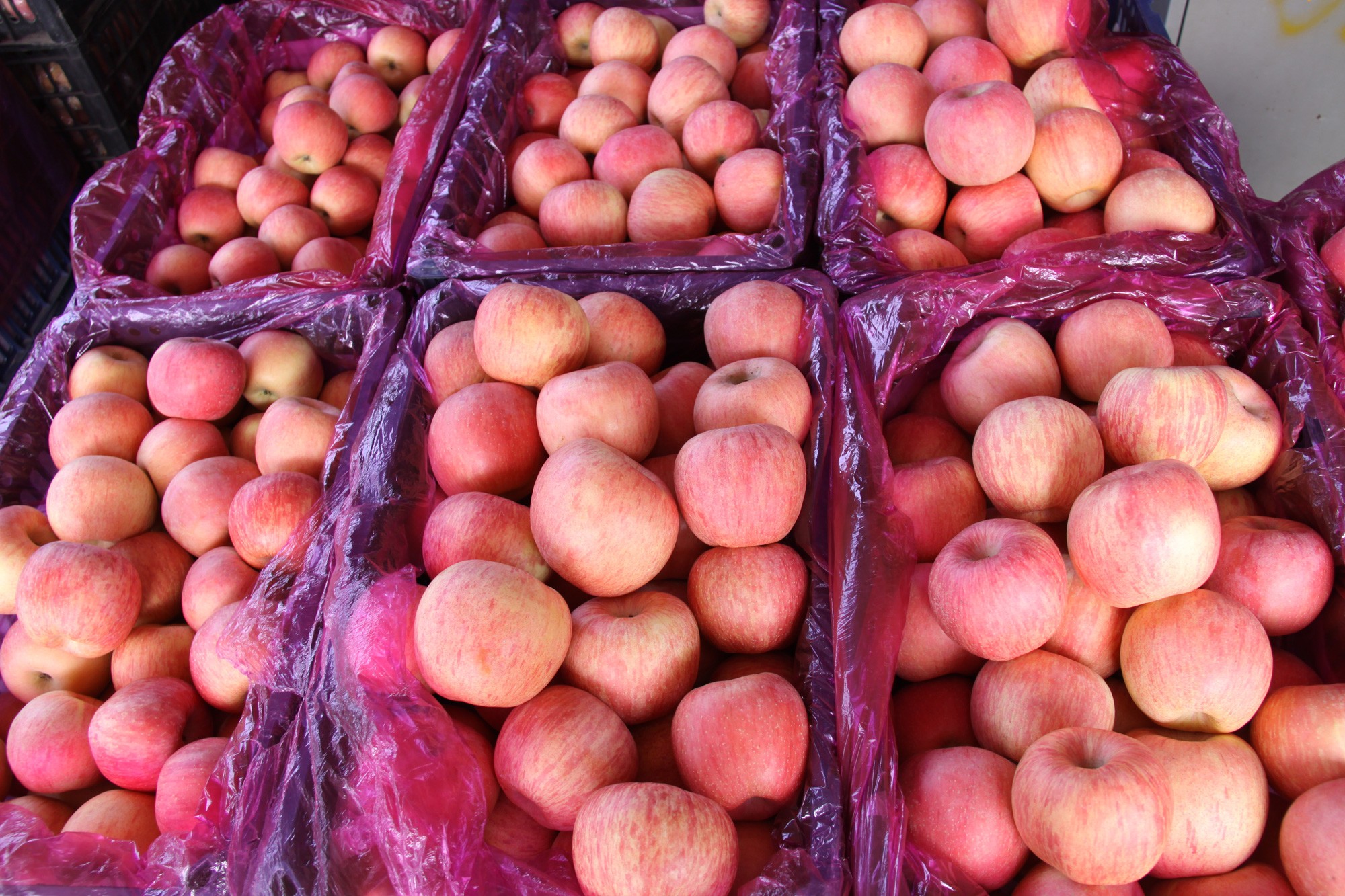 2020产季苹果产销形势分析报告